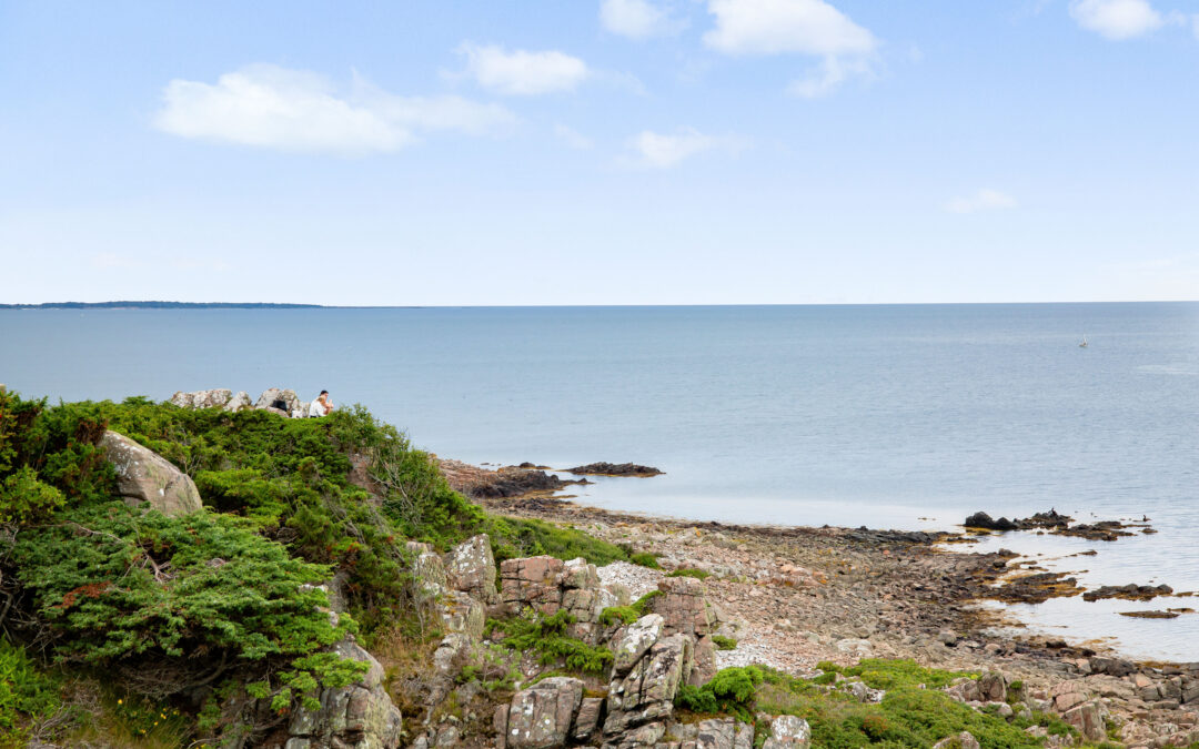 Utforska Skånes kust – En naturupplevelse för alla sinnen