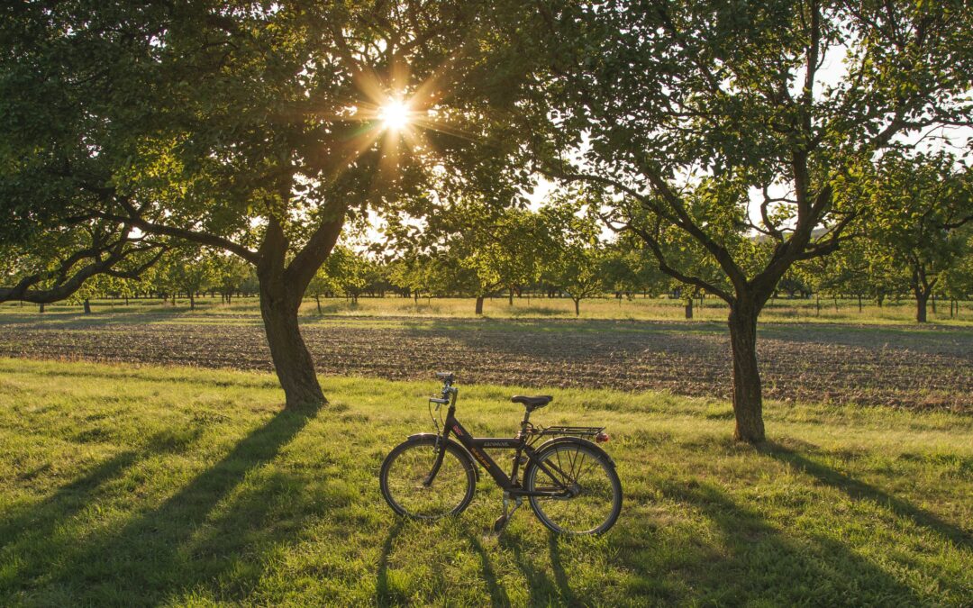Cykelsemester i Båstad: Upplev Bjärehalvön från sadeln